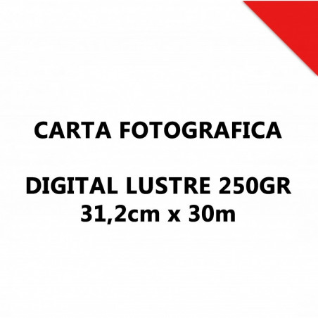 Digital Lustre 250GR 31,2CMX30MT