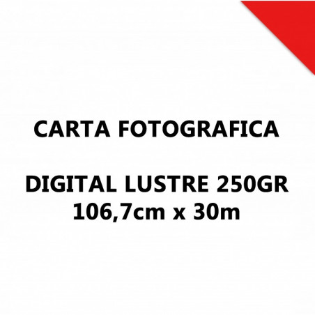 Digital Lustre 250GR 106,7CMX30MT