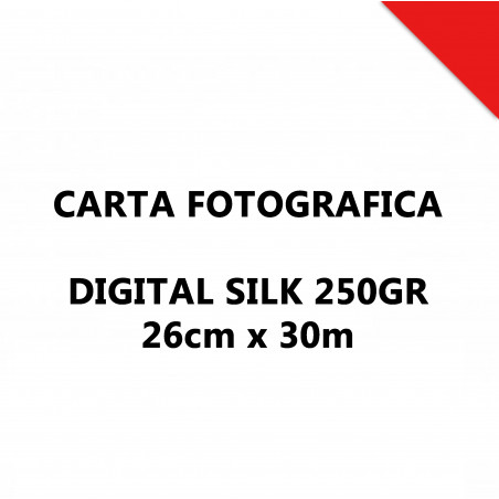 DIGITAL SILK 250GR 26CMX30MT