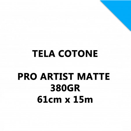 Canvas Pro Artist Matte 380GR 61CMX15MT