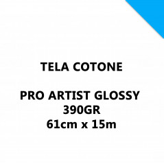 Canvas Pro Artist Glossy 390GR 61CMX15MT